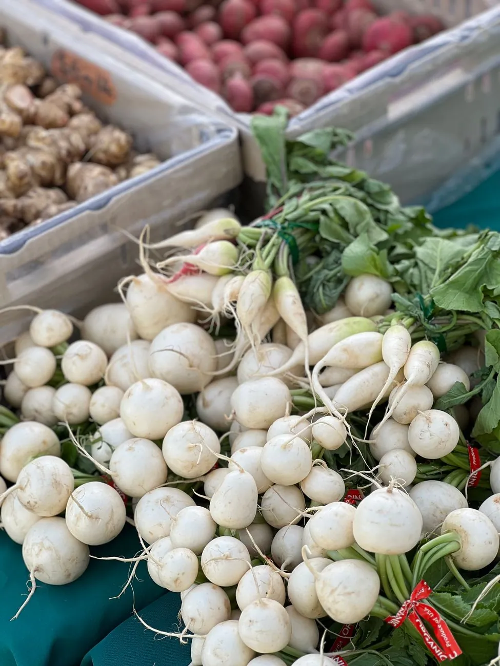 Gezond ontbijt met havermout en bessen