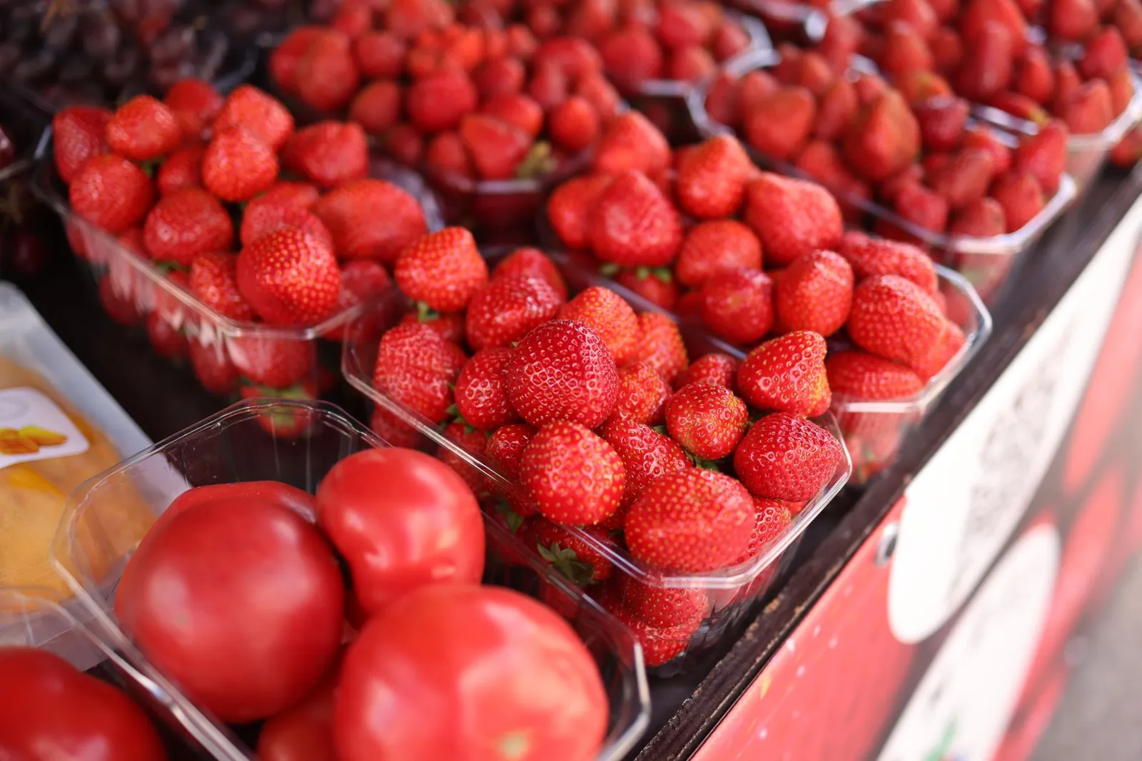 Verzameling gezonde recepten op tafel
